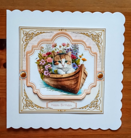 Cat in boat 1 by Jackie Odonnell
