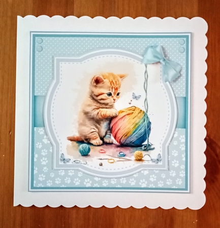 KITTEN FUN by Jackie Odonnell
