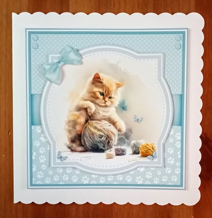 KITTEN FUN by Jackie Odonnell