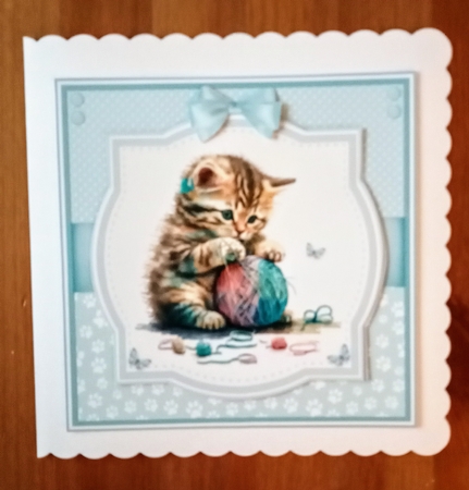 KITTEN FUN by Jackie Odonnell