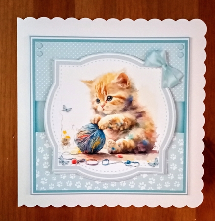 KITTEN FUN by Jackie Odonnell