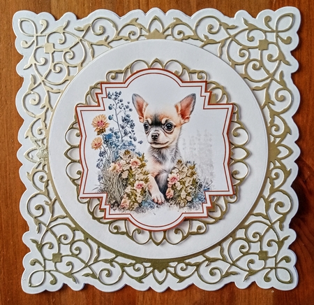 Baby Chihuahua toppers by Jackie Odonnell