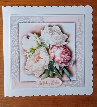 8x8 Mini Kit, Beautiful Pink Peonys  by Jackie Odonnell