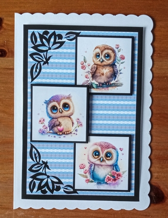 Owl Love Three Square Quick Card by Jackie Odonnell