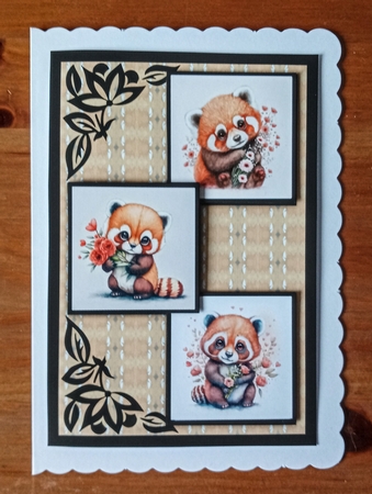 Red Panda Love Three Square Quick Card by Jackie Odonnell