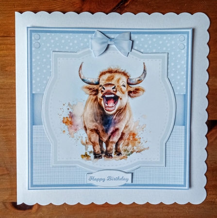 HAVING A LAUGH by Jackie Odonnell
