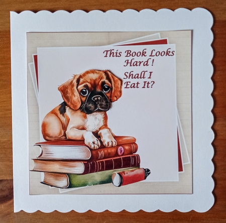 Dog Lovers Mini Kit #4  by Jackie Odonnell