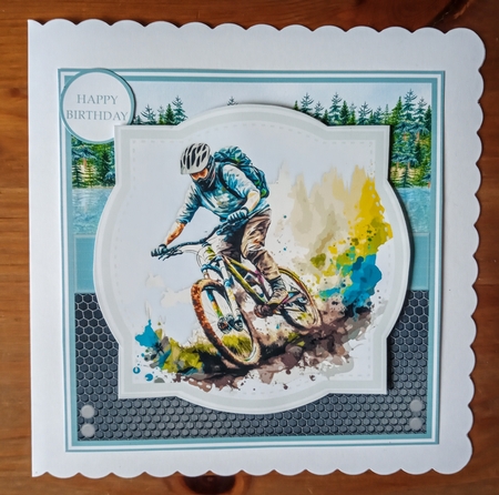 MOUNTAIN BIKES by Jackie Odonnell