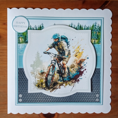 MOUNTAIN BIKES by Jackie Odonnell