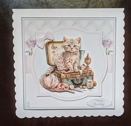 SHABBY CHIC CATS by Jackie Odonnell