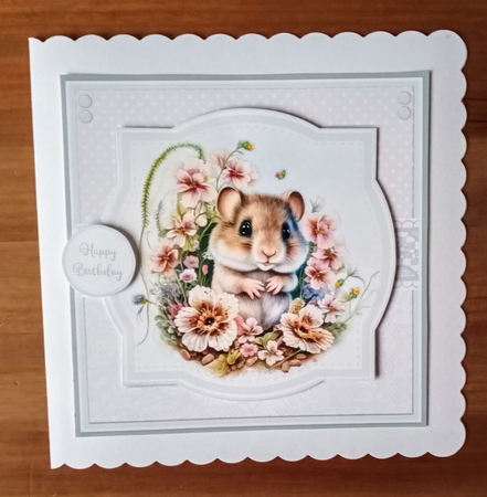 FLOWER MICE by Jackie Odonnell