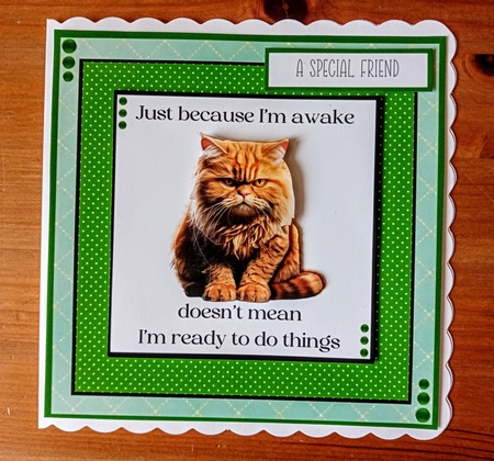 Grumpy Cat by Jackie Odonnell