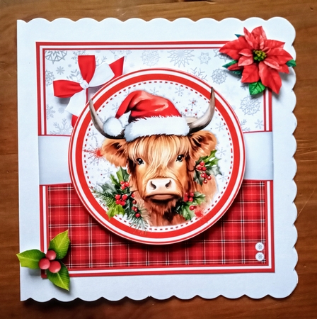 CHRISTMAS HIGHLAND COWS by Jackie Odonnell