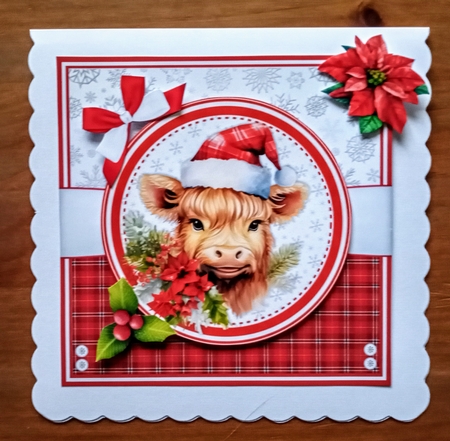 CHRISTMAS HIGHLAND COWS by Jackie Odonnell