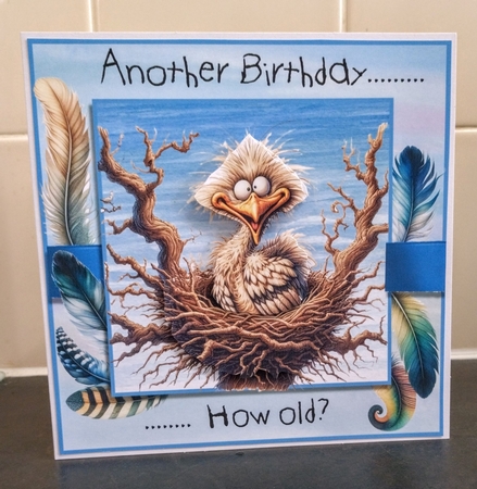 Another Birthday Goofy Bird by Jackie Odonnell
