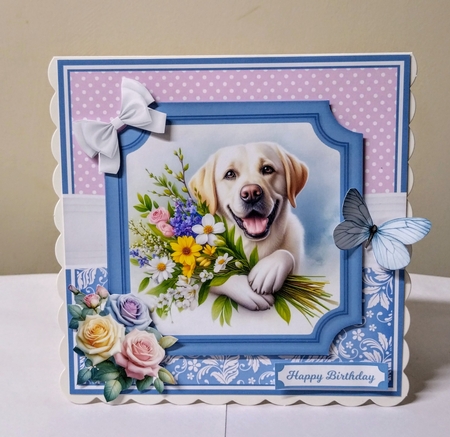 FURBABY FLOWERS by Jackie Odonnell