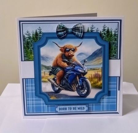 HAIRY BIKERS by Jackie Odonnell