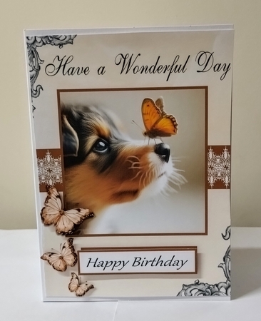 The Dog and the Butterfly Occasions by Jackie Odonnell