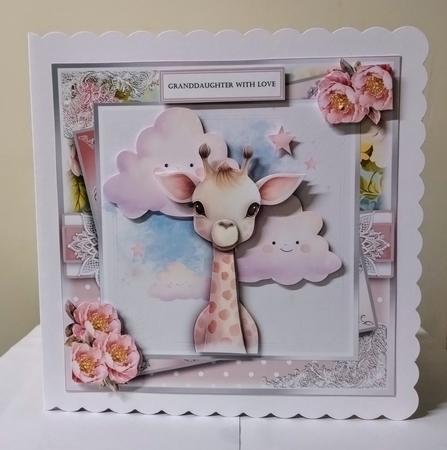 The Little Giraffe  by Jackie Odonnell