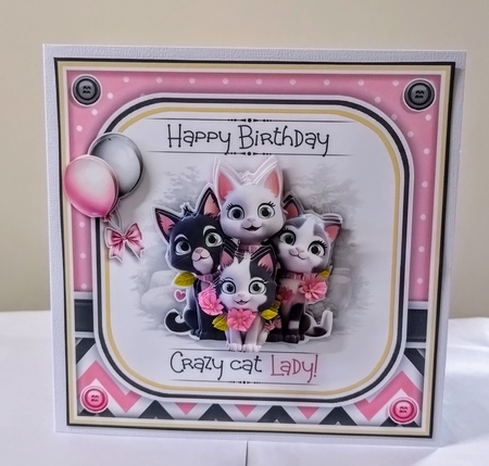 Crazy Cat Lady by Jackie Odonnell