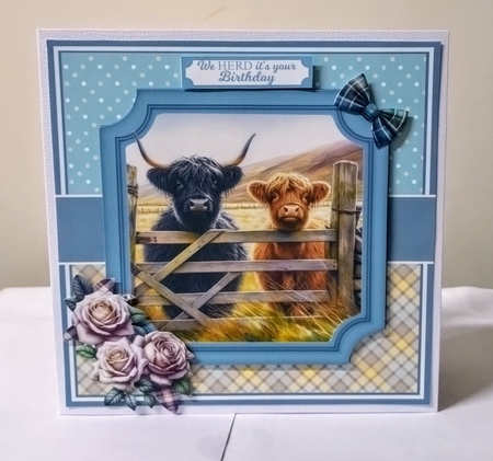 HIGHLAND HERD by Jackie Odonnell