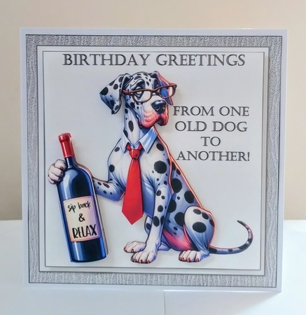 7x7 Birthday greetings from the old dog choice of four mini kit  by Jackie Odonnell