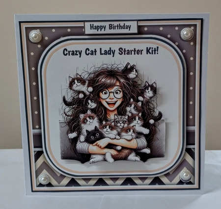 Crazy Cat Lady by Jackie Odonnell