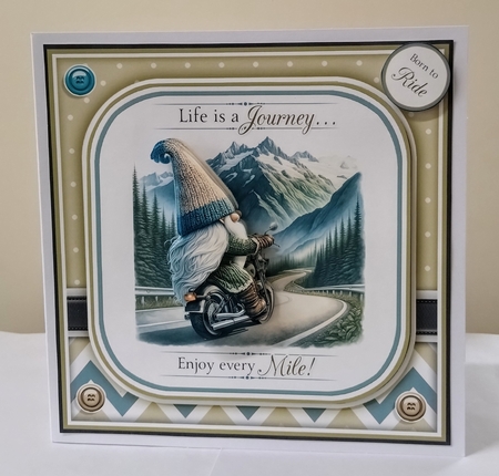 Born To Ride! by Jackie Odonnell