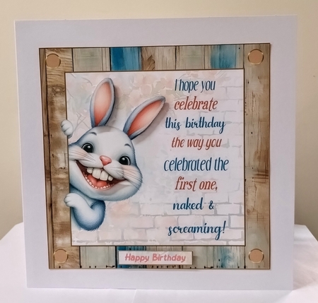 Fun rabbit 7x7ins decoupage topper by Jackie Odonnell