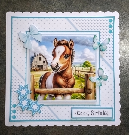 Farmyard Fun by Jackie Odonnell