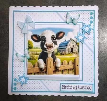Farmyard Fun by Jackie Odonnell