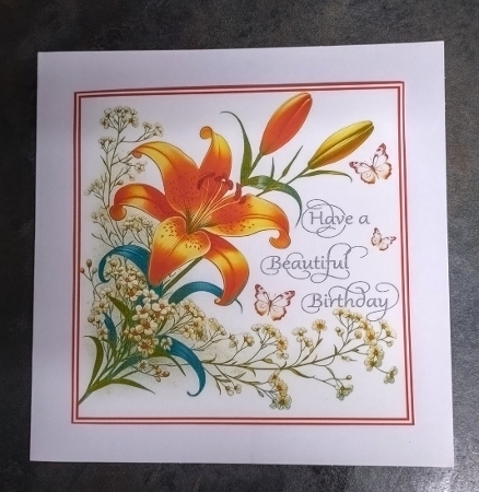 Tiger Lily Birthday by Jackie Odonnell