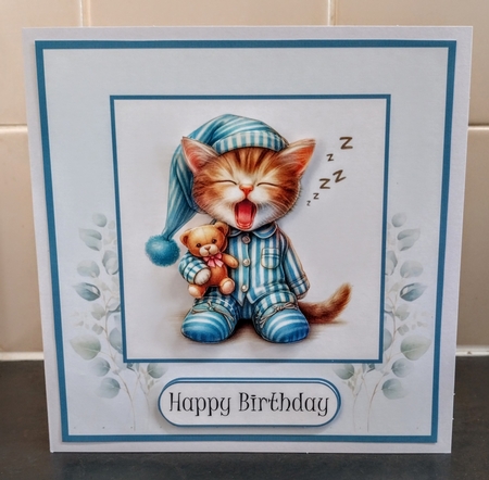 Sleepy Cat Birthday by Jackie Odonnell