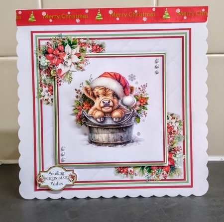 The Christmas Cow by Jackie Odonnell