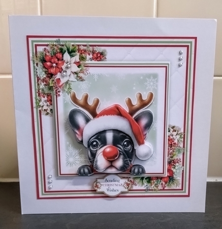 The Christmas French Bulldog by Jackie Odonnell