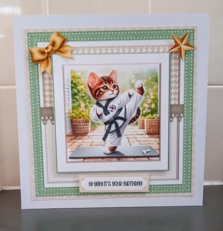 Karate Animals by Jackie Odonnell