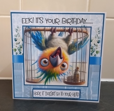 EEk! Its Your Birthday by Jackie Odonnell