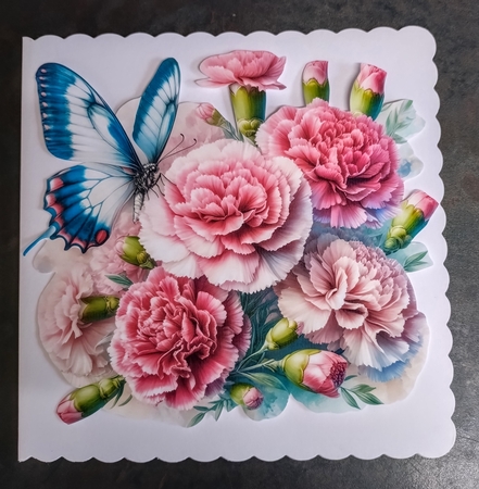Butterflies & Carnations by Jackie Odonnell
