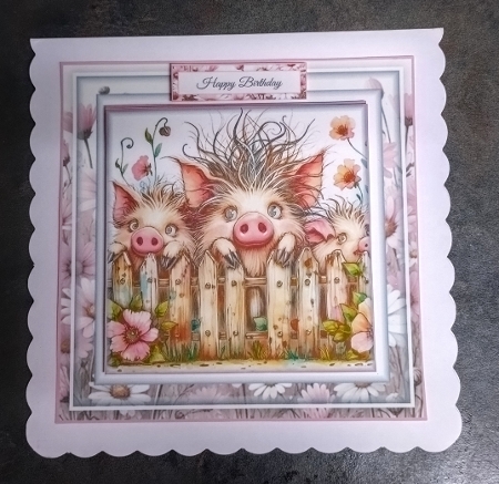 Quirky Pigs by Jackie Odonnell