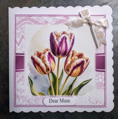 Beautiful Tulip Birthday Trio by Jackie Odonnell