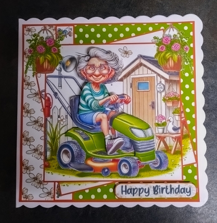 The lawn ranger by Jackie Odonnell