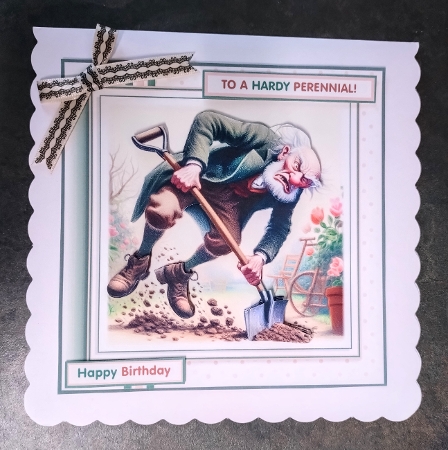 The Hardy Perennial  by Jackie Odonnell