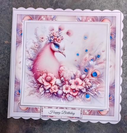 Pastel Peacock by Jackie Odonnell