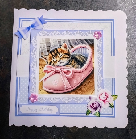 COMFY CAT by Jackie Odonnell