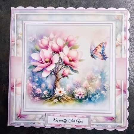 Magnolia And Butterflies by Jackie Odonnell