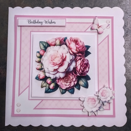 Camellia Blooms by Jackie Odonnell