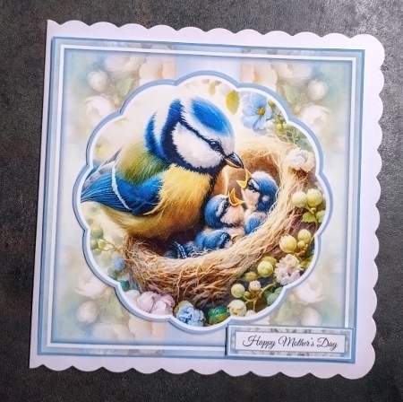 Blue Tit Feeding Her Chicks by Jackie Odonnell