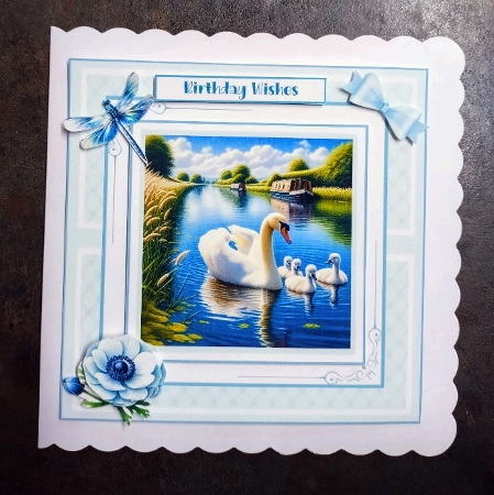 Swans and Cygnets by Jackie Odonnell