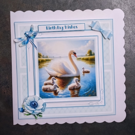 Swans and Cygnets by Jackie Odonnell