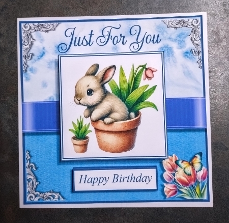 Spring Bunnies Birthday by Jackie Odonnell